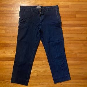 Banana Republic Hampton Pant Size L